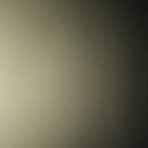 Meet your Posher, Evan